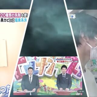 ヒルナンデスに紹介されました